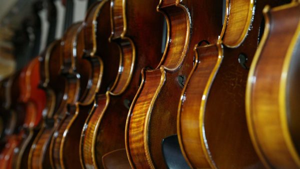 How Much Does A Violin Cost Overview Of Violin Prices Violinspiration