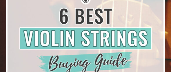 6 Best Violin Strings – Buying Guide