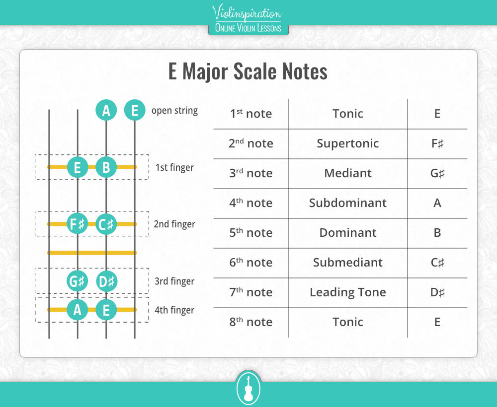 E Major Scale Violin Scale - Notes in the first position updated E Major Scale Violin Scale - Notes in the first position updated