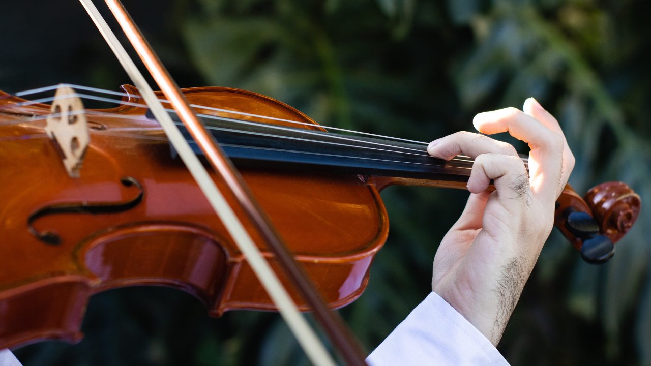 Fretted Violin - Person Playing Violin