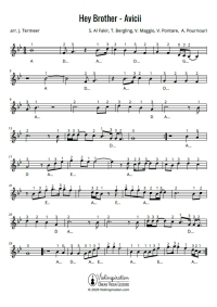Hey Brother - Avicii - Violin Sheet Music Tutorial