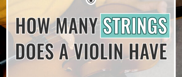 How Many Strings Does a Violin Have - Your Questions Answered