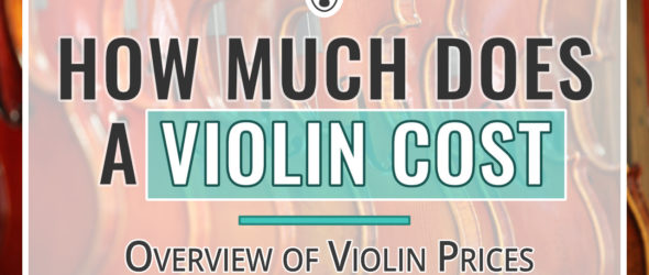How Much Does a Violin Cost - Overview of Violin Prices