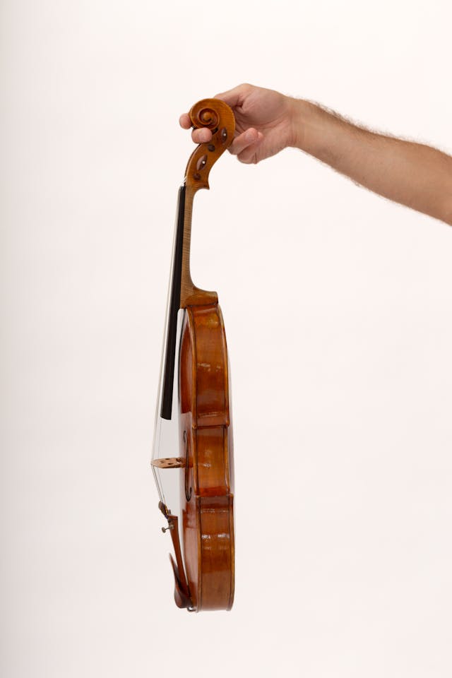 How much does the violin weigh - a hand holding violin sideway