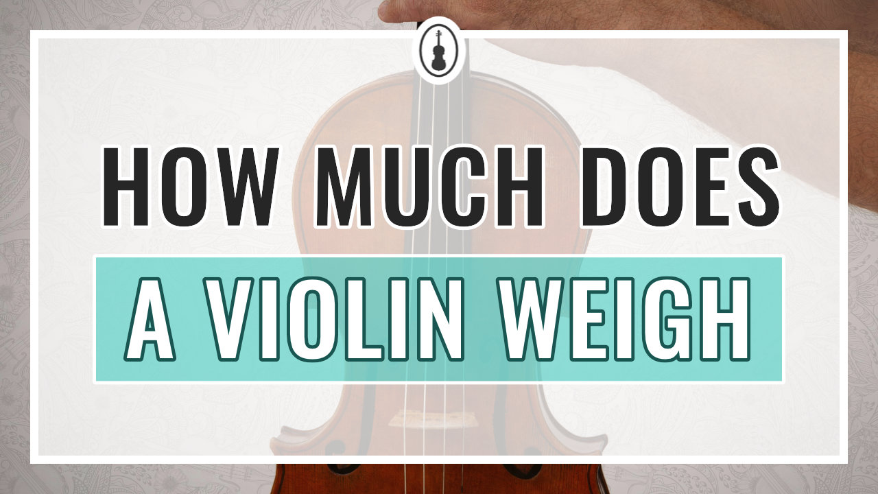 How Much Does a Violin Weigh  