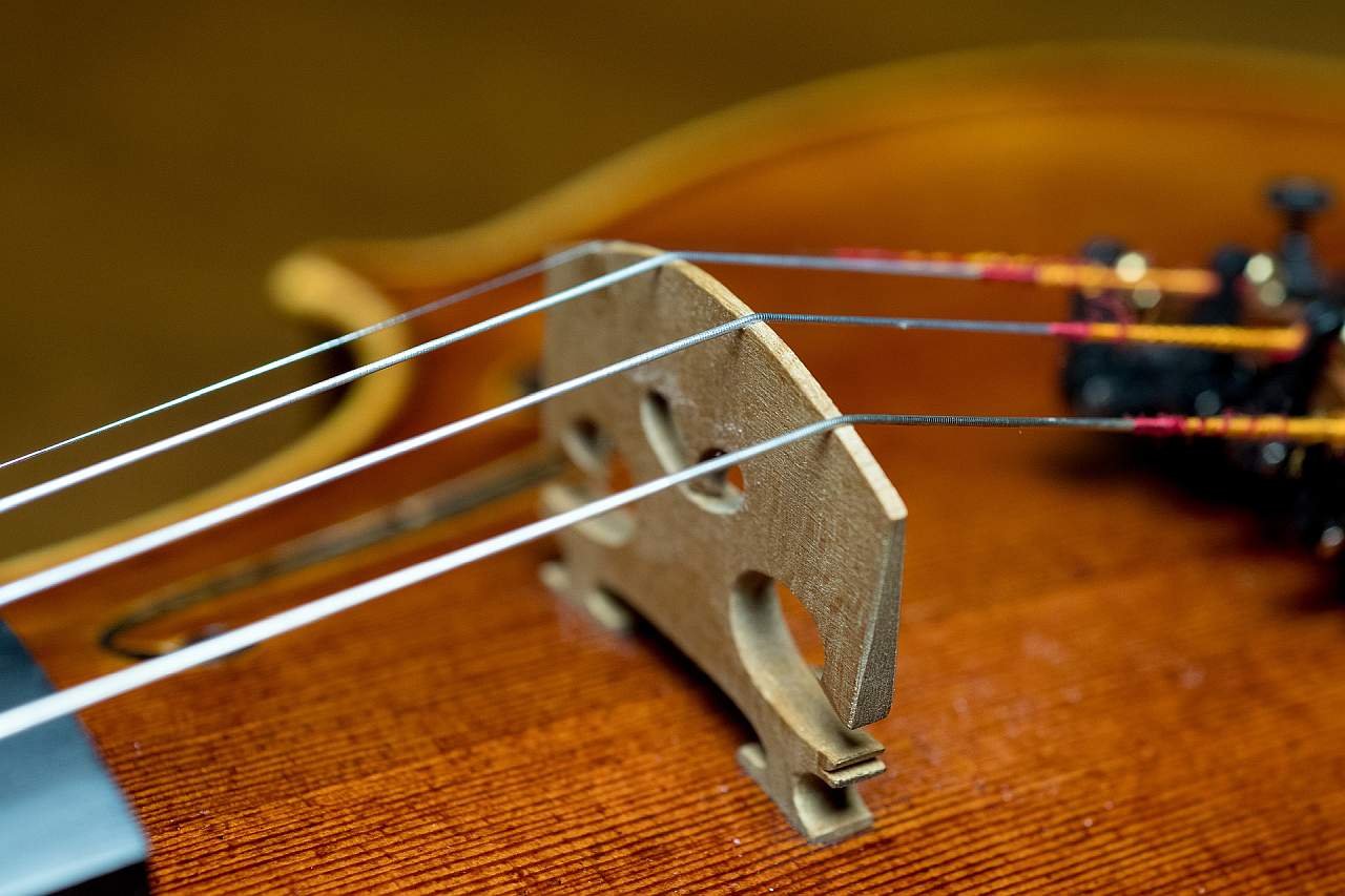 How to Buy a Violin - Bridge and Strings