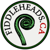 How to Buy a Violin - Fiddleheads logo