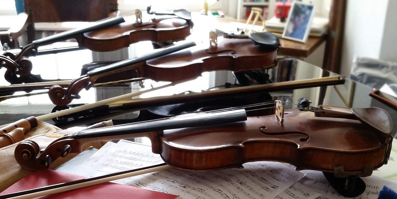 How to Buy a Violin - Renting a Violin