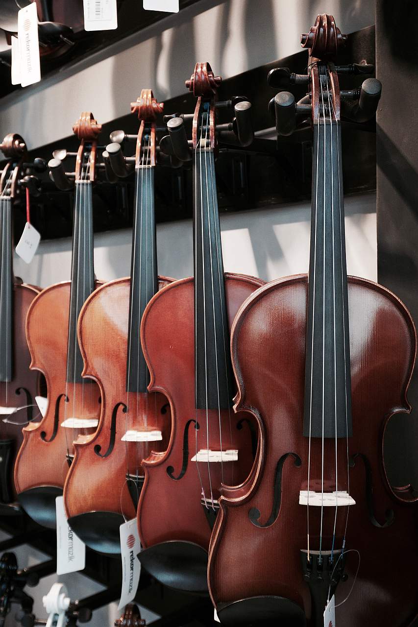 How to Buy a Violin - Violin Shop 2