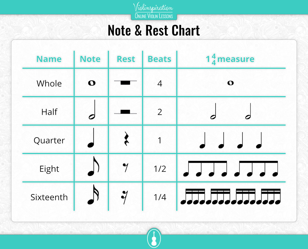 Violin Notes for Beginners - Violinspiration