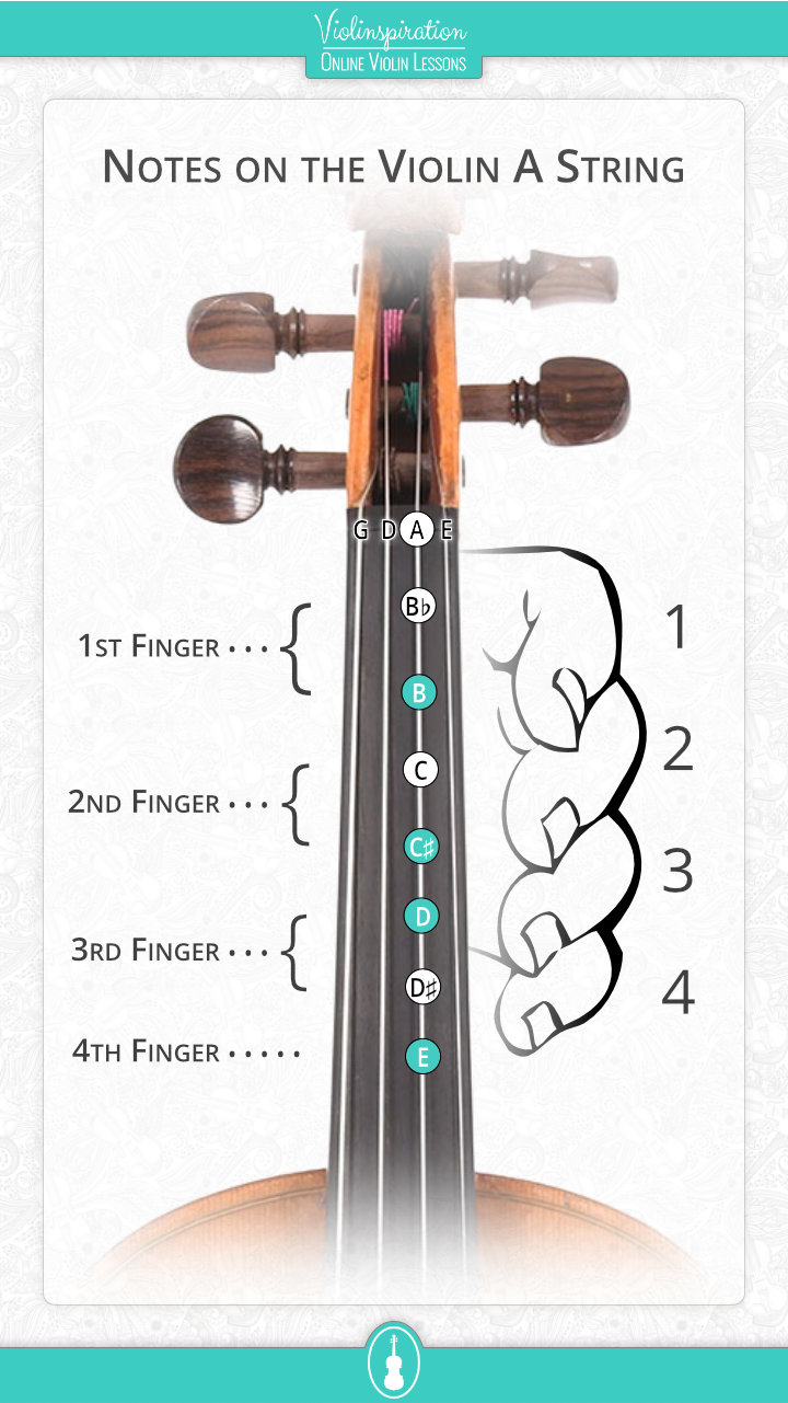 Notes on the Violin A String - fingerboard