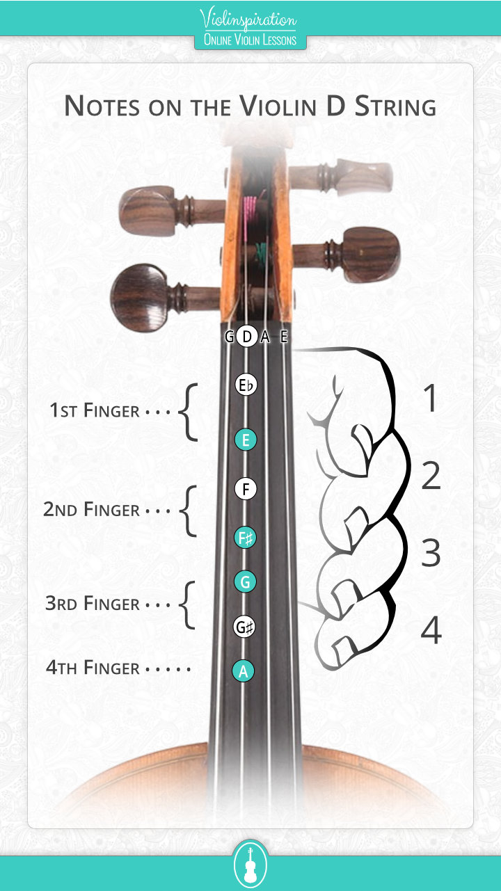 Notes on the Violin D String - fingerboard