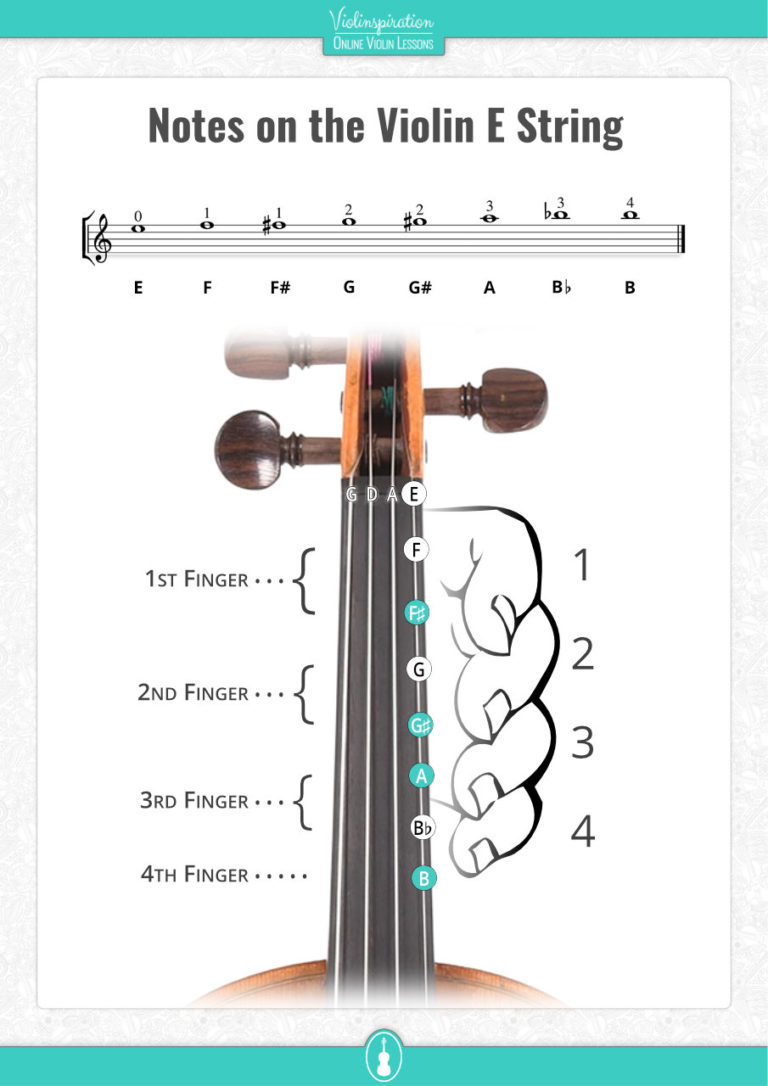 All Violin Notes on the E String [with Easy PDF Chart] - Violinspiration