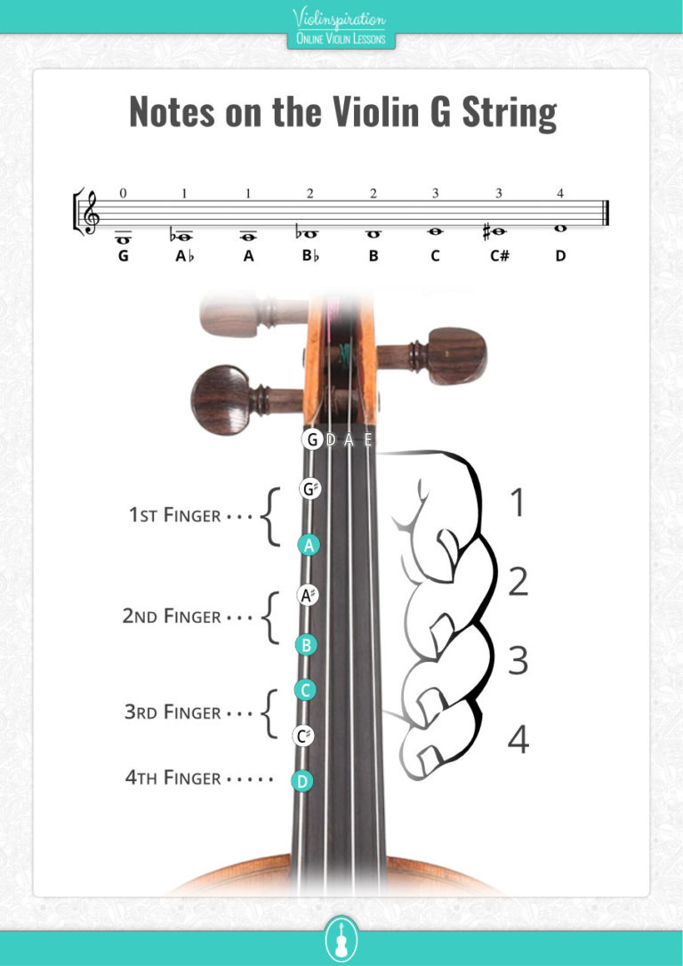 All Violin Notes for Beginners [with Easy PDF Charts] - Violinspiration