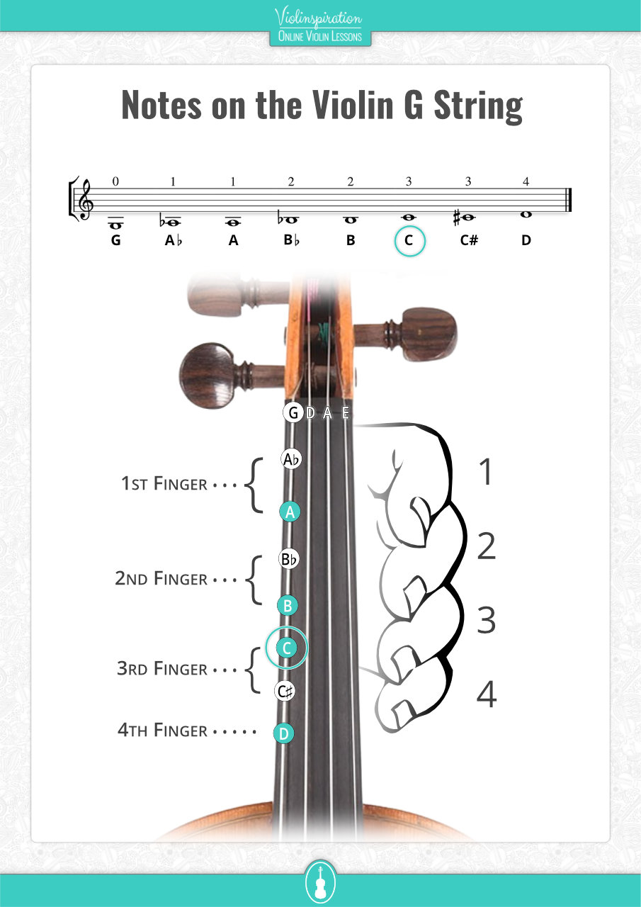 Notes on the Violin G String - C marked