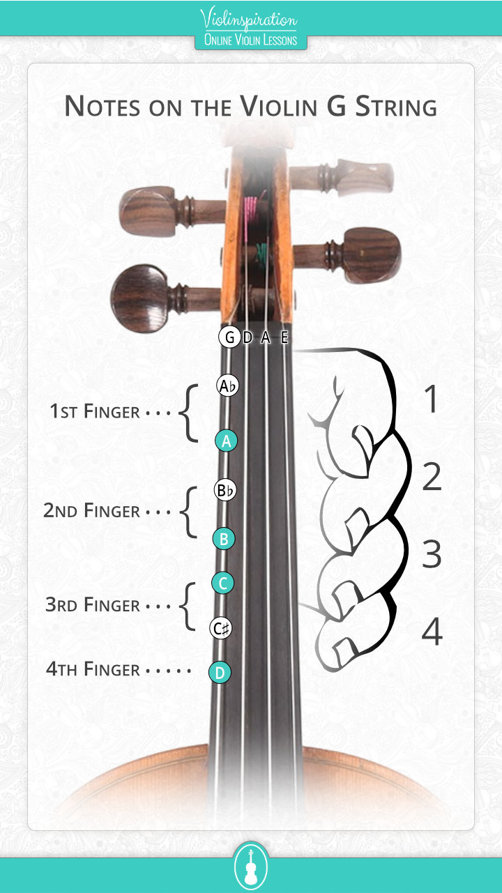 Notes on the Violin G String - fingerboard