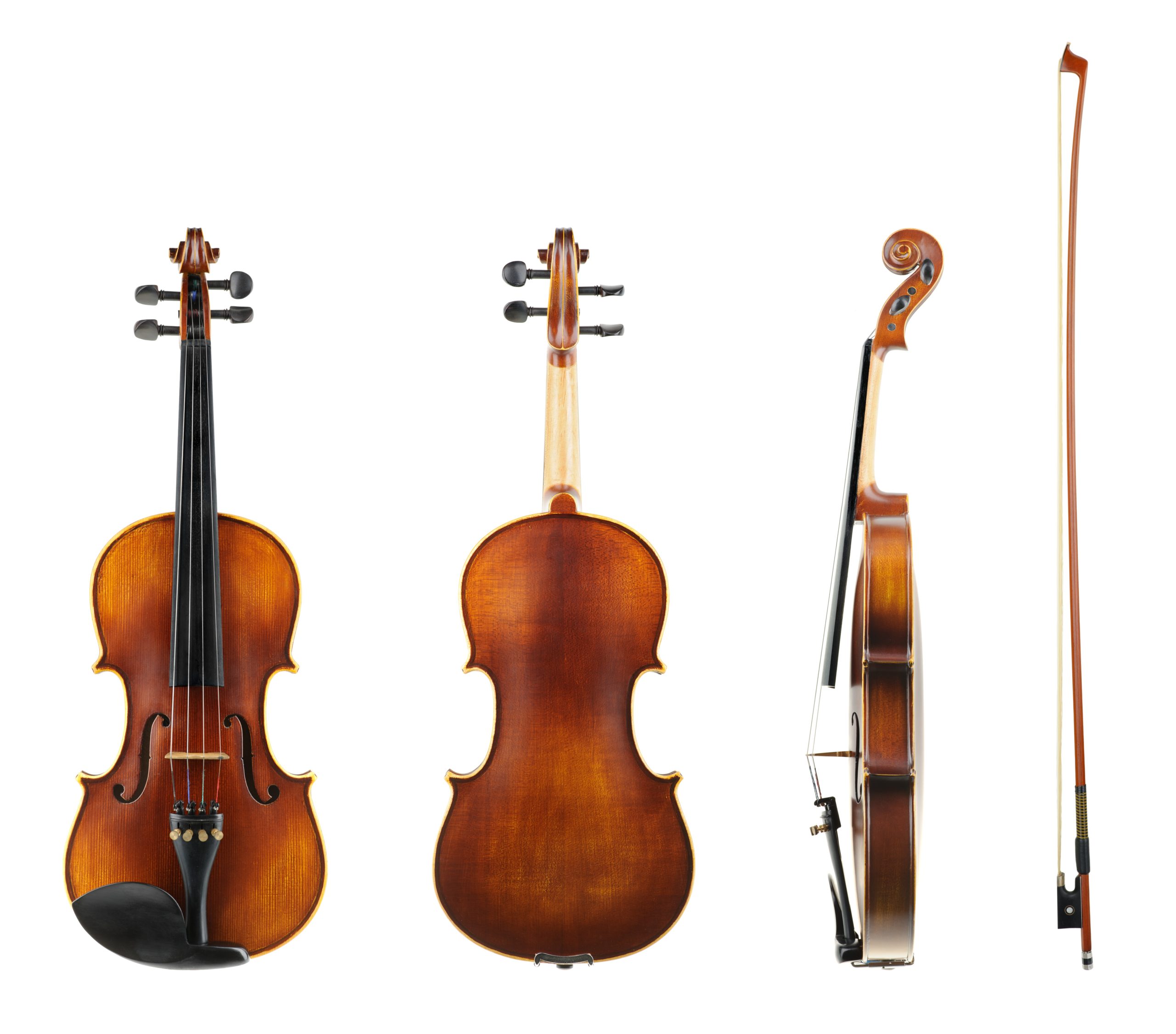 The-Most-Popular-Violin-Types-Modern-Violin