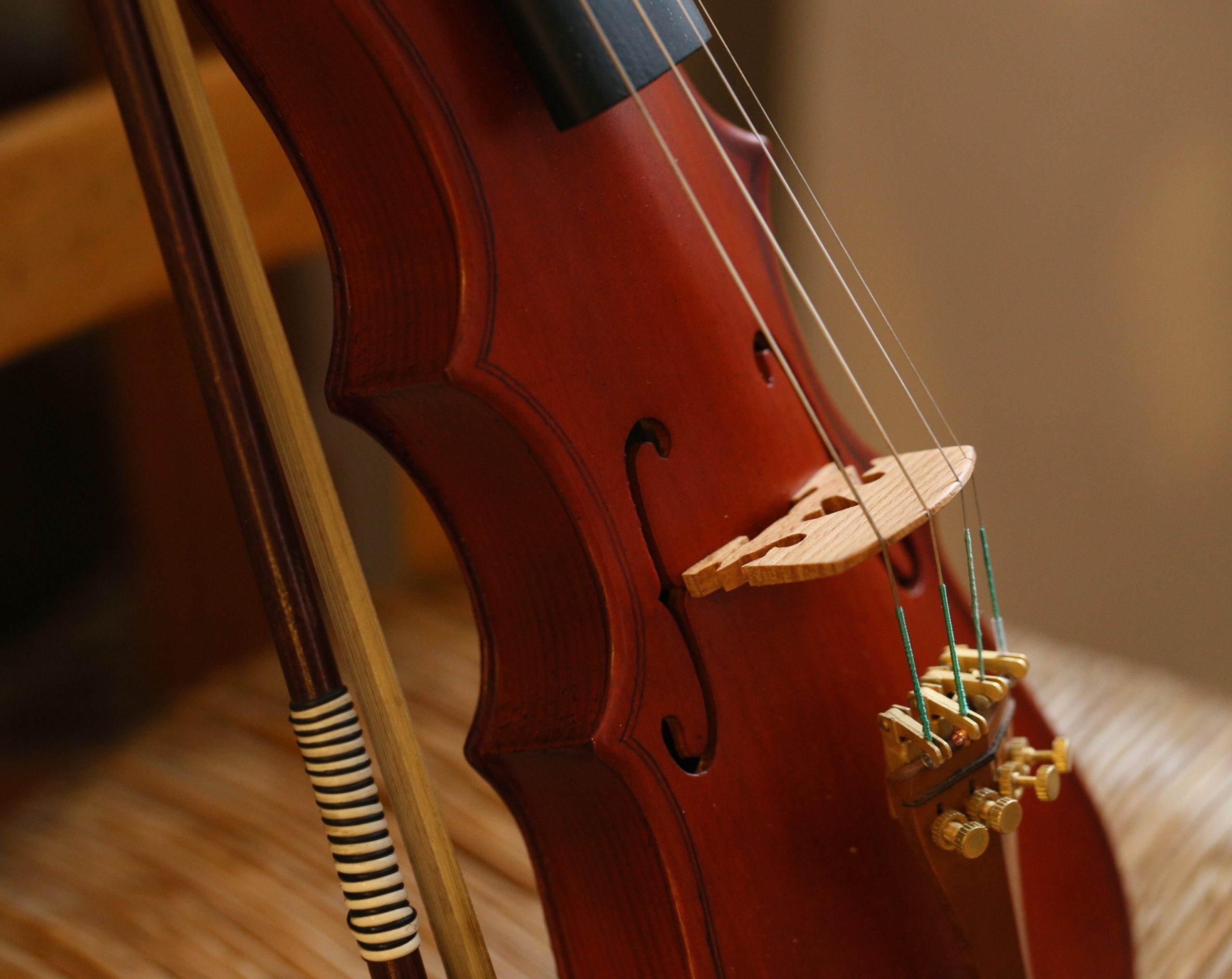 The-Most-Popular-Violin-Types-Pochette-Closeup-on-the-Sounbox