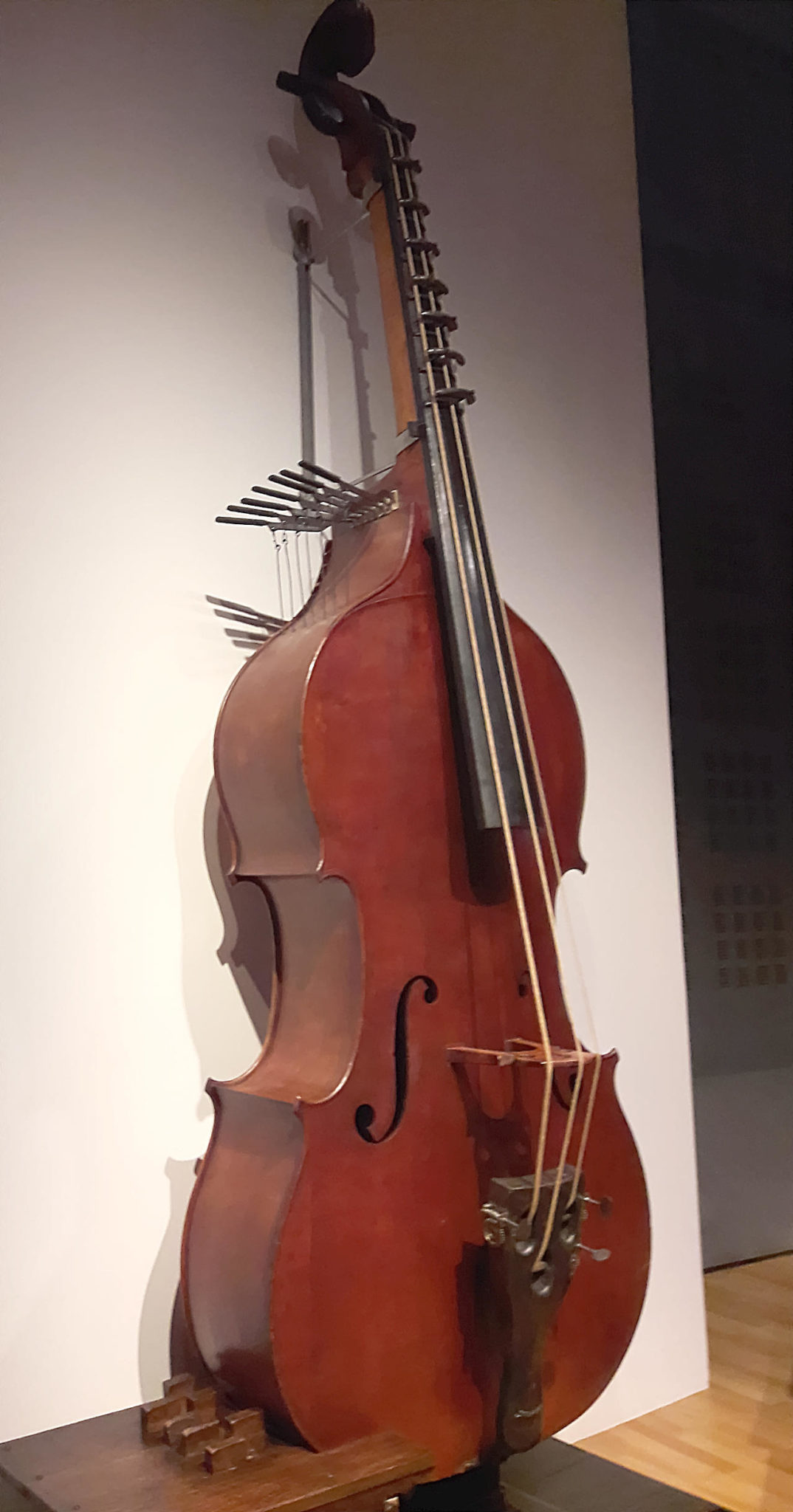 The Violin String Family Easy Guide with Video Examples Violinspiration