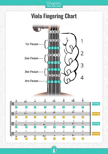 Viola String Notes - Viola Fingering Chart