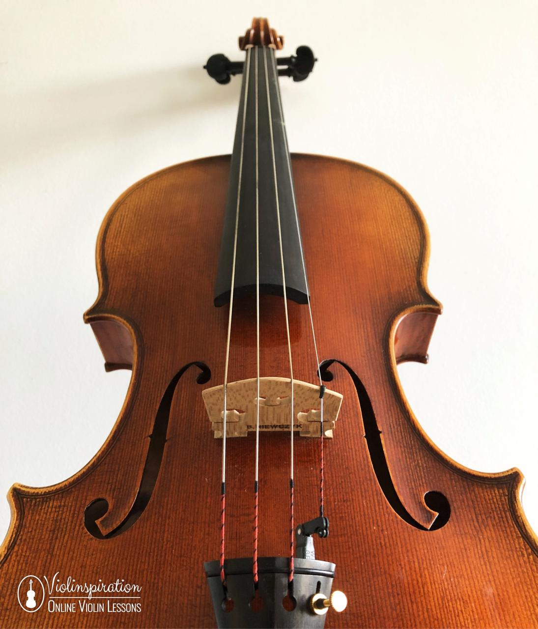 Viola vs Violin - Viola 1