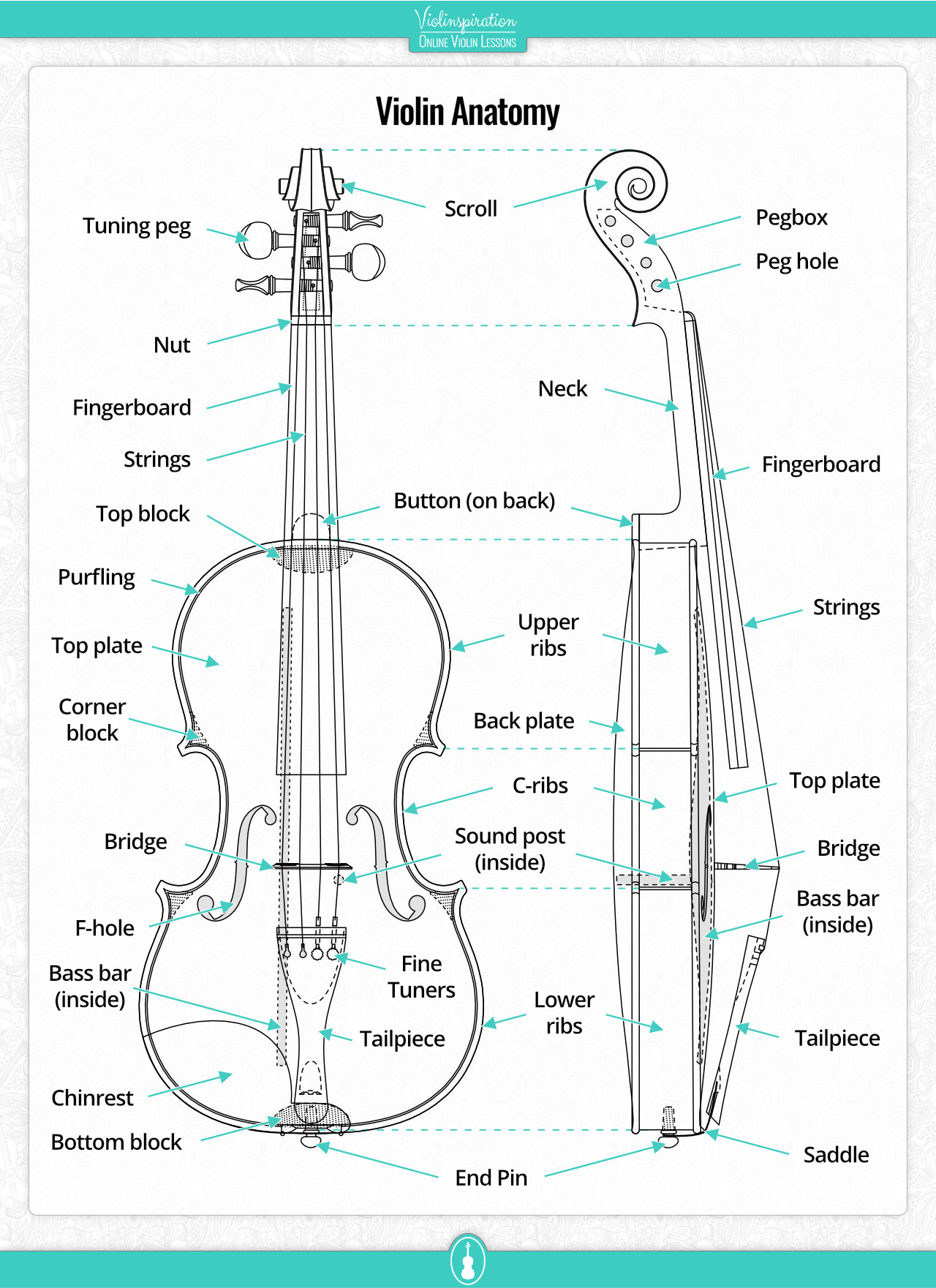 Violin Chinrest: It's Types and Which One to Choose - Violinspiration