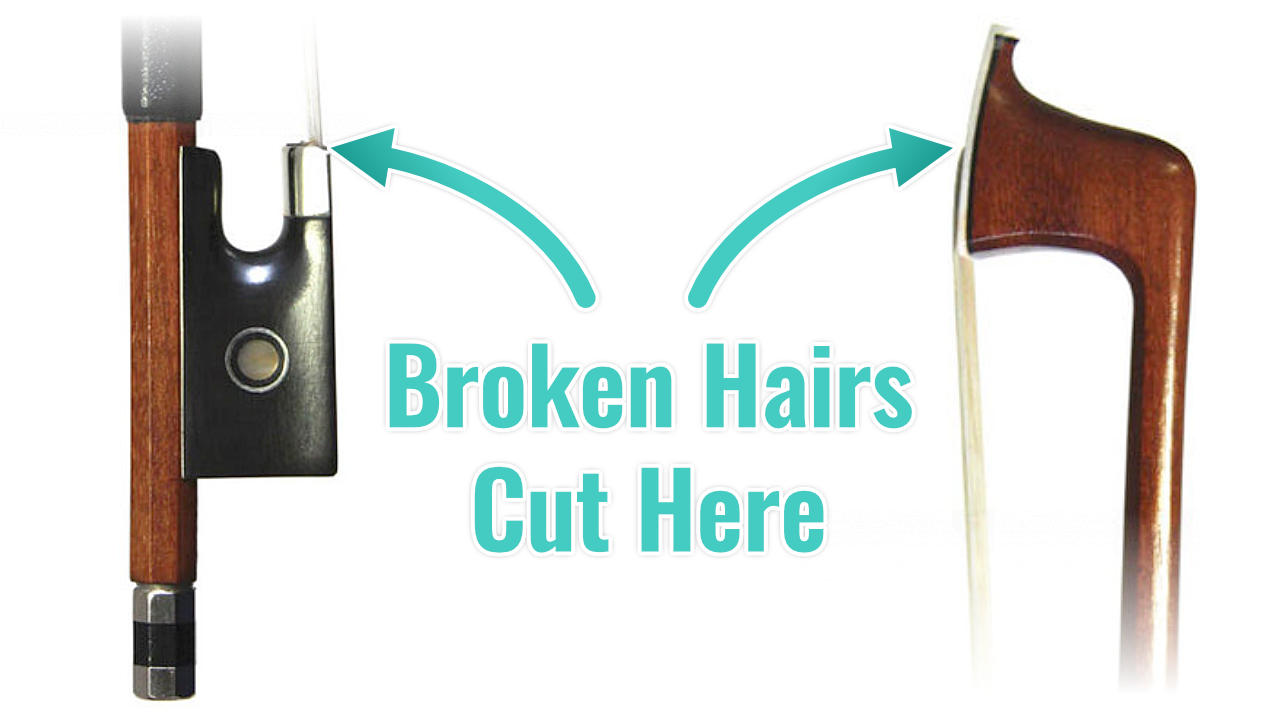 Violin Bow Hair - Cut broken hairs