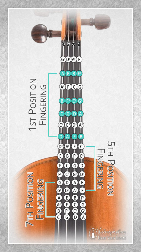 Violin Finger Positions and Patterns - Free PDF Charts - Violinspiration