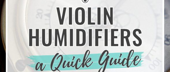 Violin Humidifiers - A Quick Guide