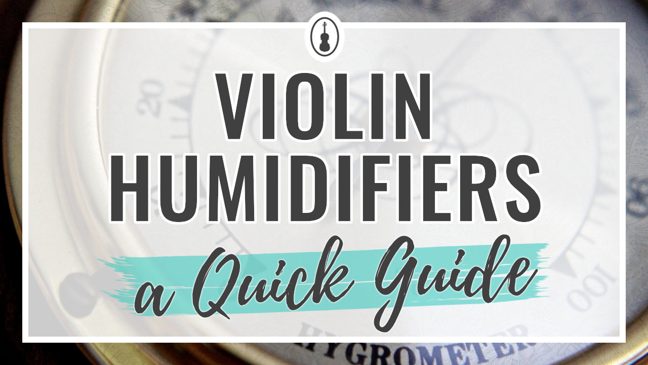 Violin Humidifiers – A Quick Guide