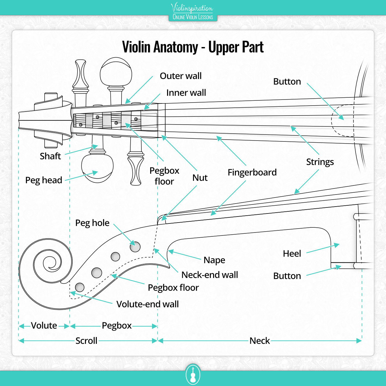 Violin Parts - Upper Part and Fingerboard
