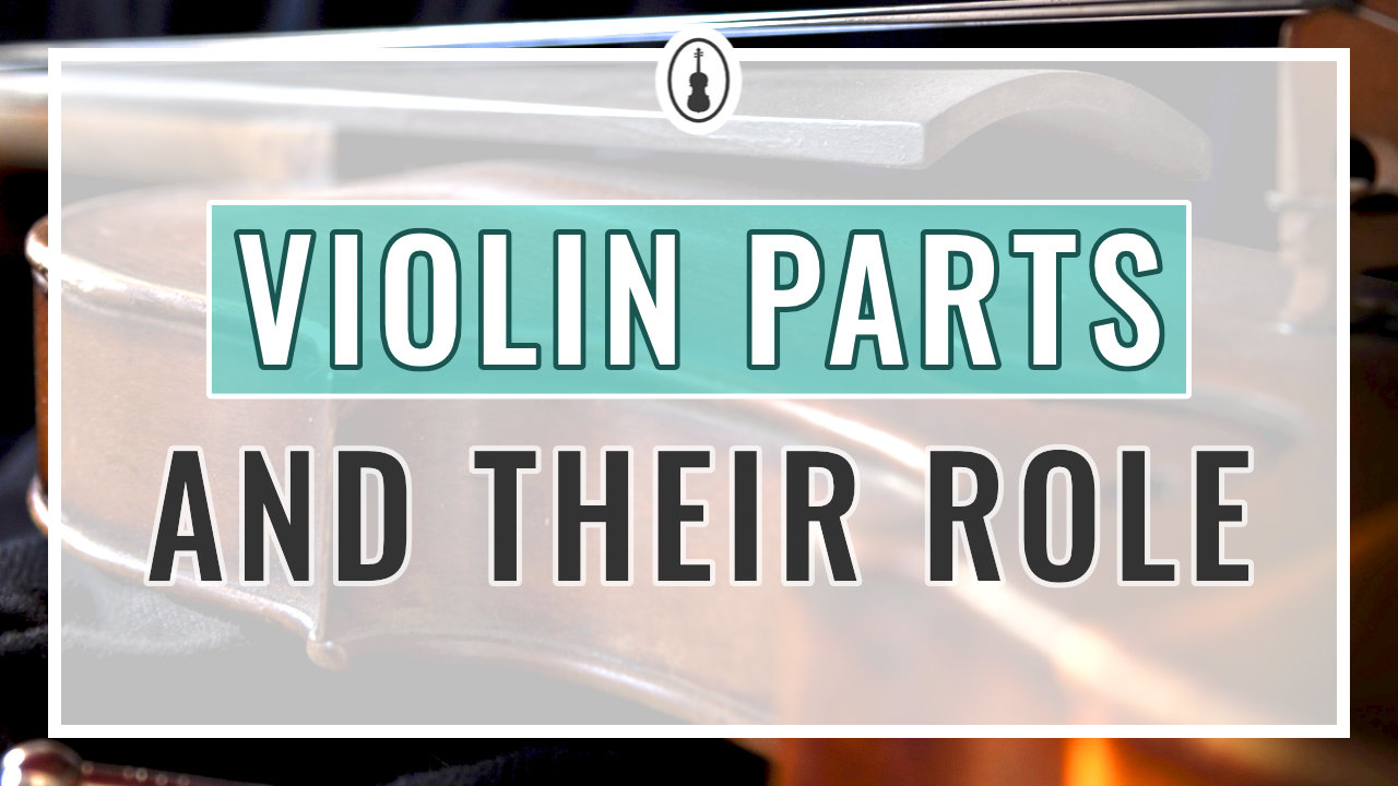 Violin Parts and Their Role – Violin Anatomy
