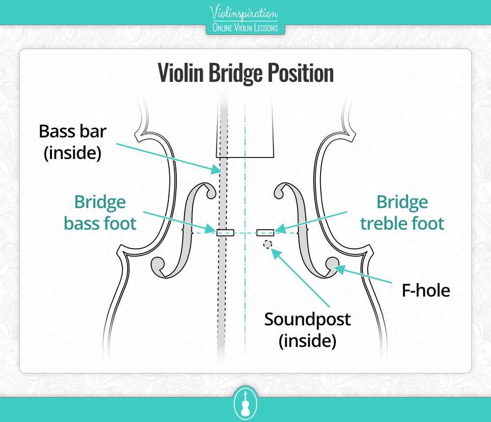 Violin bridge and f-hole position