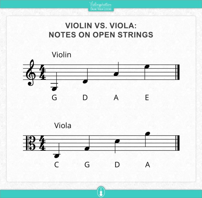 Viola vs Violin What are the Differences? Violinspiration