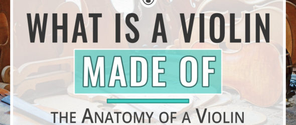 What is a Violin Made Of