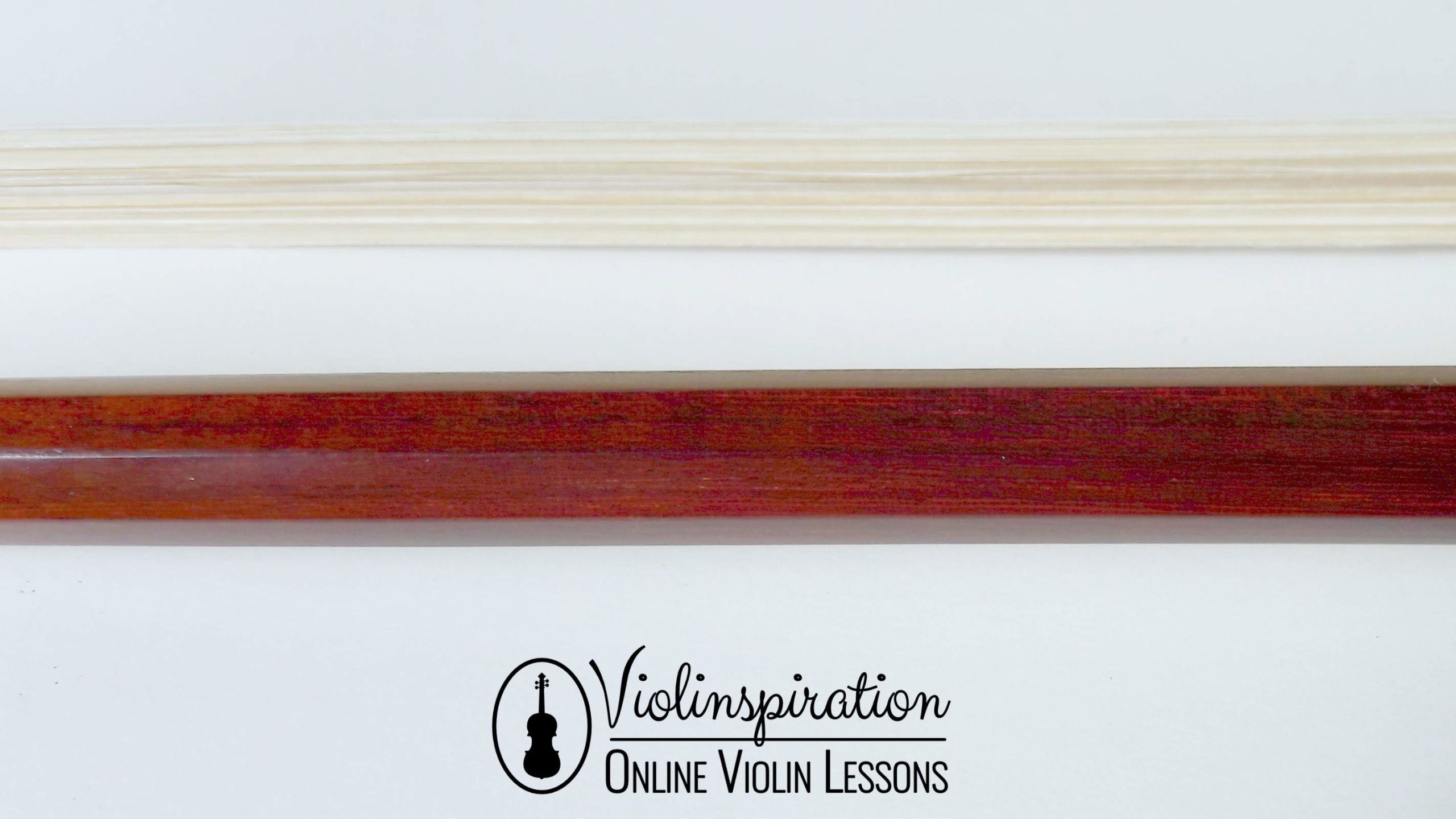 Brazilwood 2024 violin bow