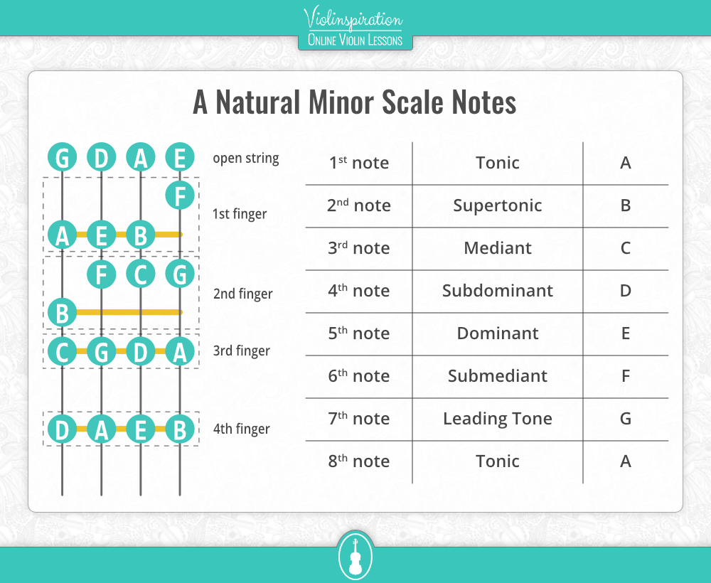 a minor scale violin - Notes in the first position
