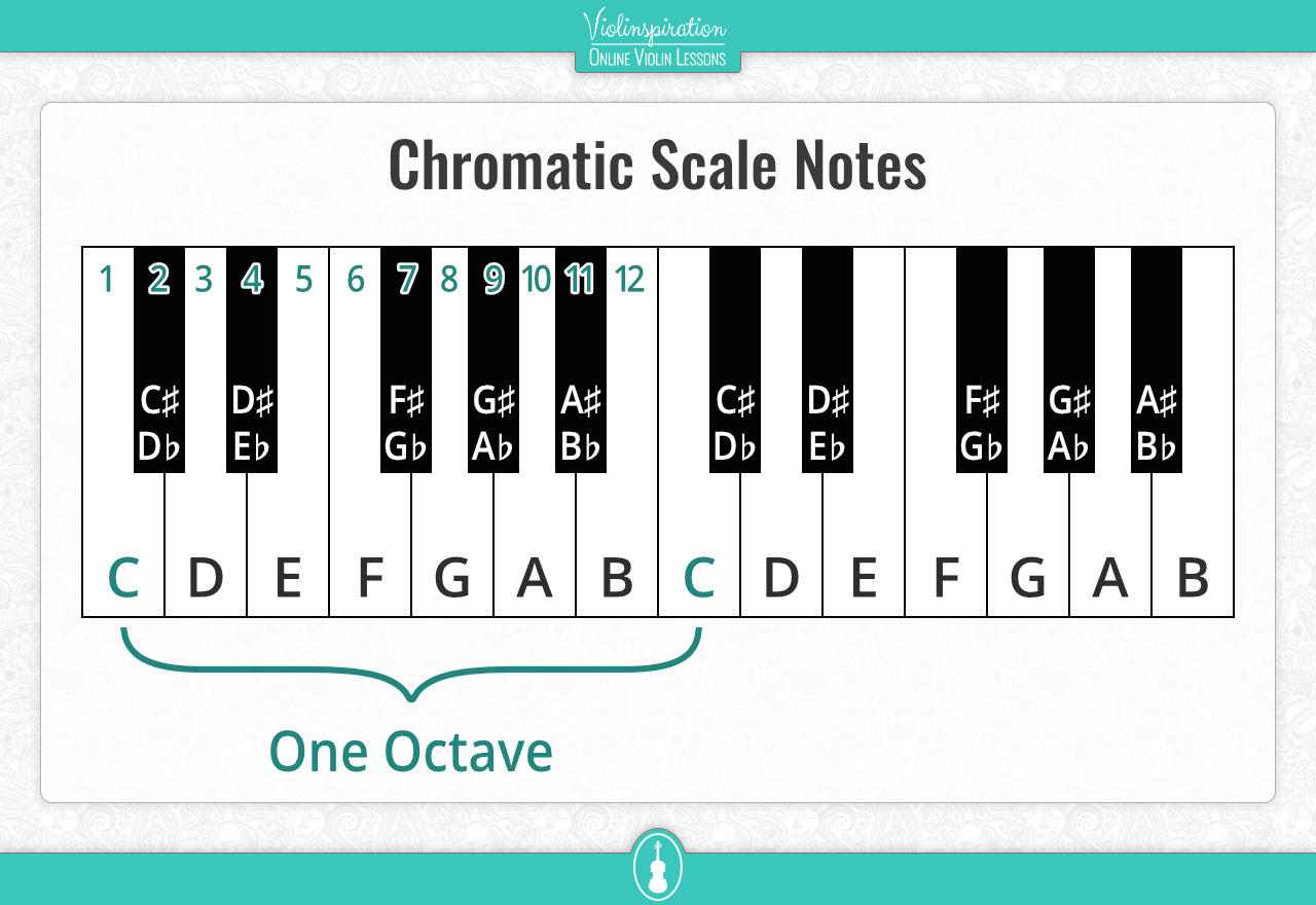 chromatic scale violin - all notes