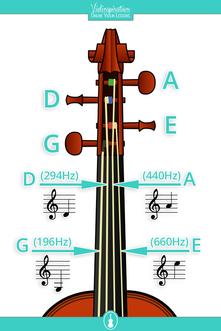 how many strings does a violin have - Violin tuning pegs