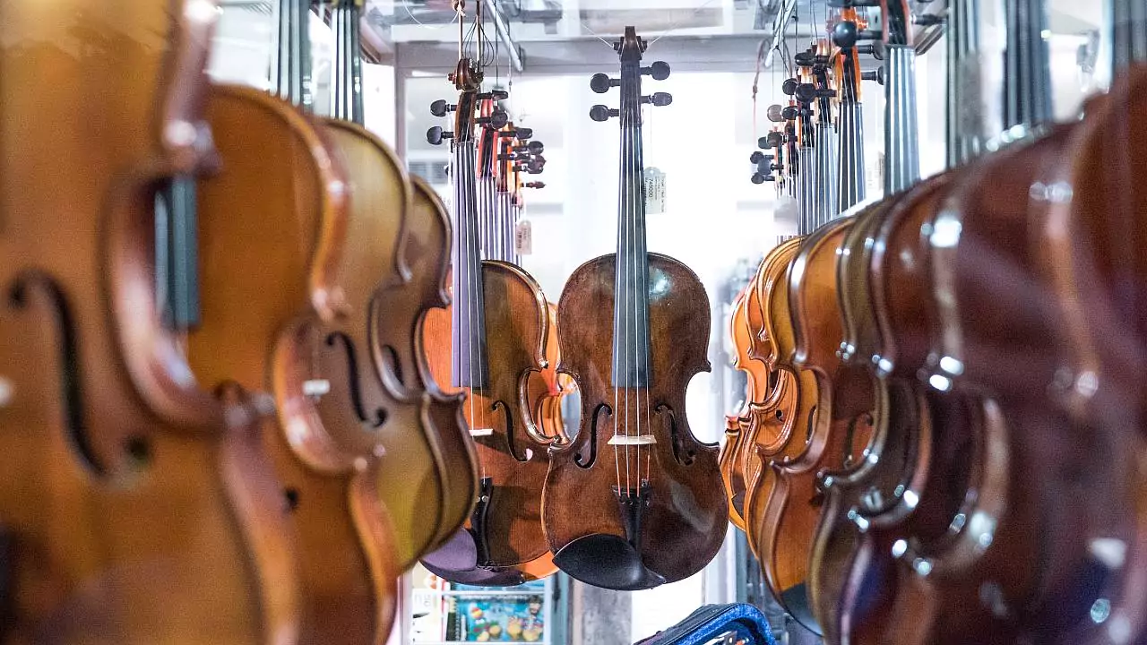 Multiple violins arranged on display stands