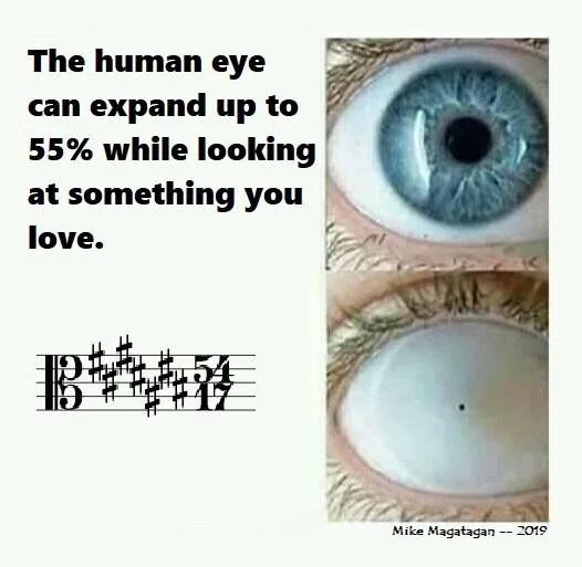 Meme showing a wide-open eye under the text “The human eye can expand up to 55% while looking at something you love,” followed by a nearly closed eye reacting to a complex time signature and many flats.