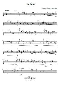 romantic violin music - the Swan - la Cygne by Saint-Saens - violin