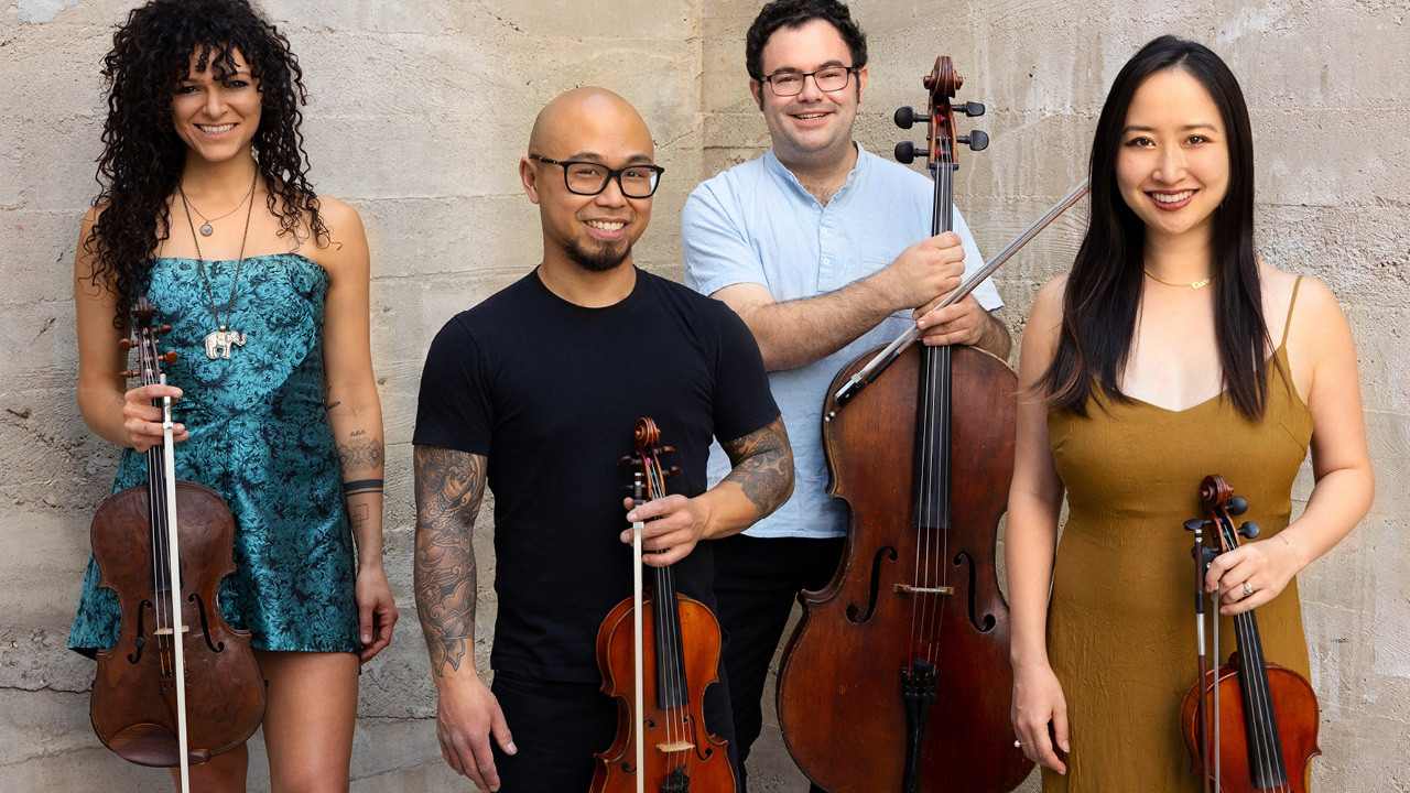 string quartet - Vitamin String Quartet