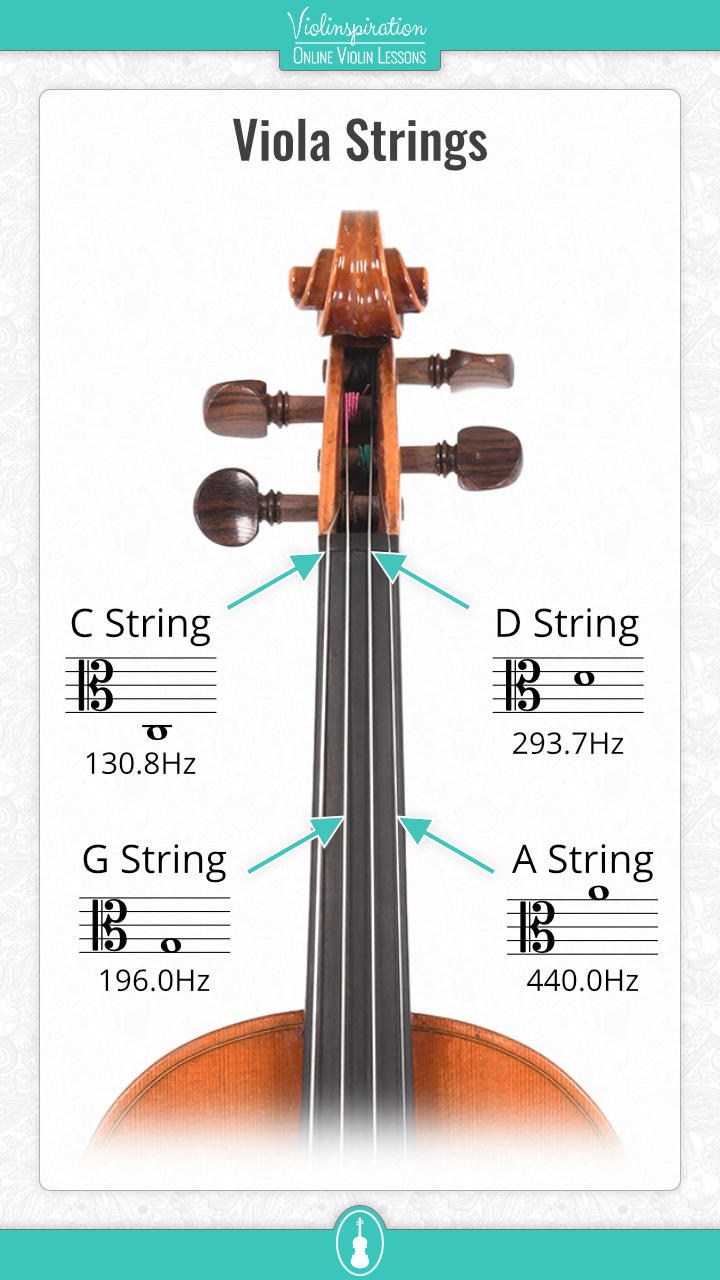 viola string notes - viola open strings