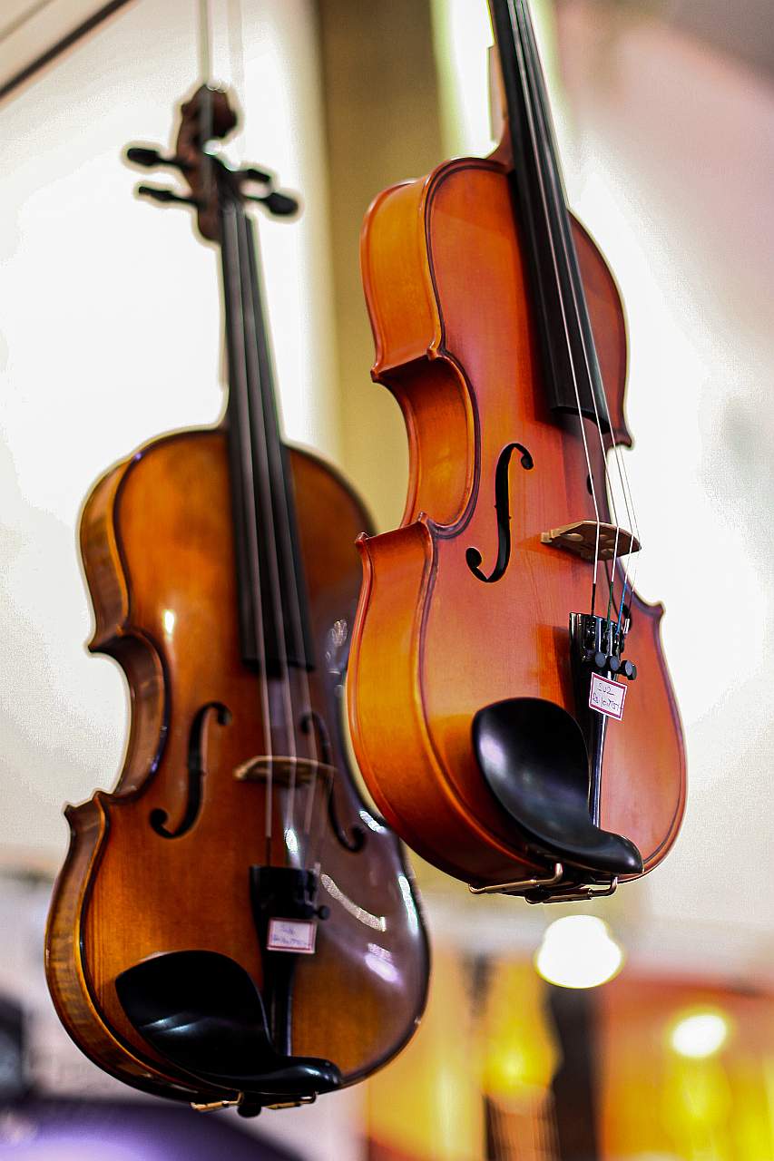 violin cost - Beginner
