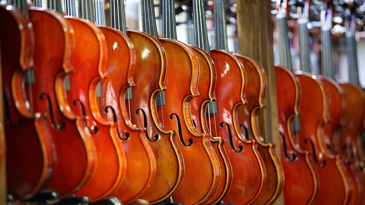 violin cost - Price Range