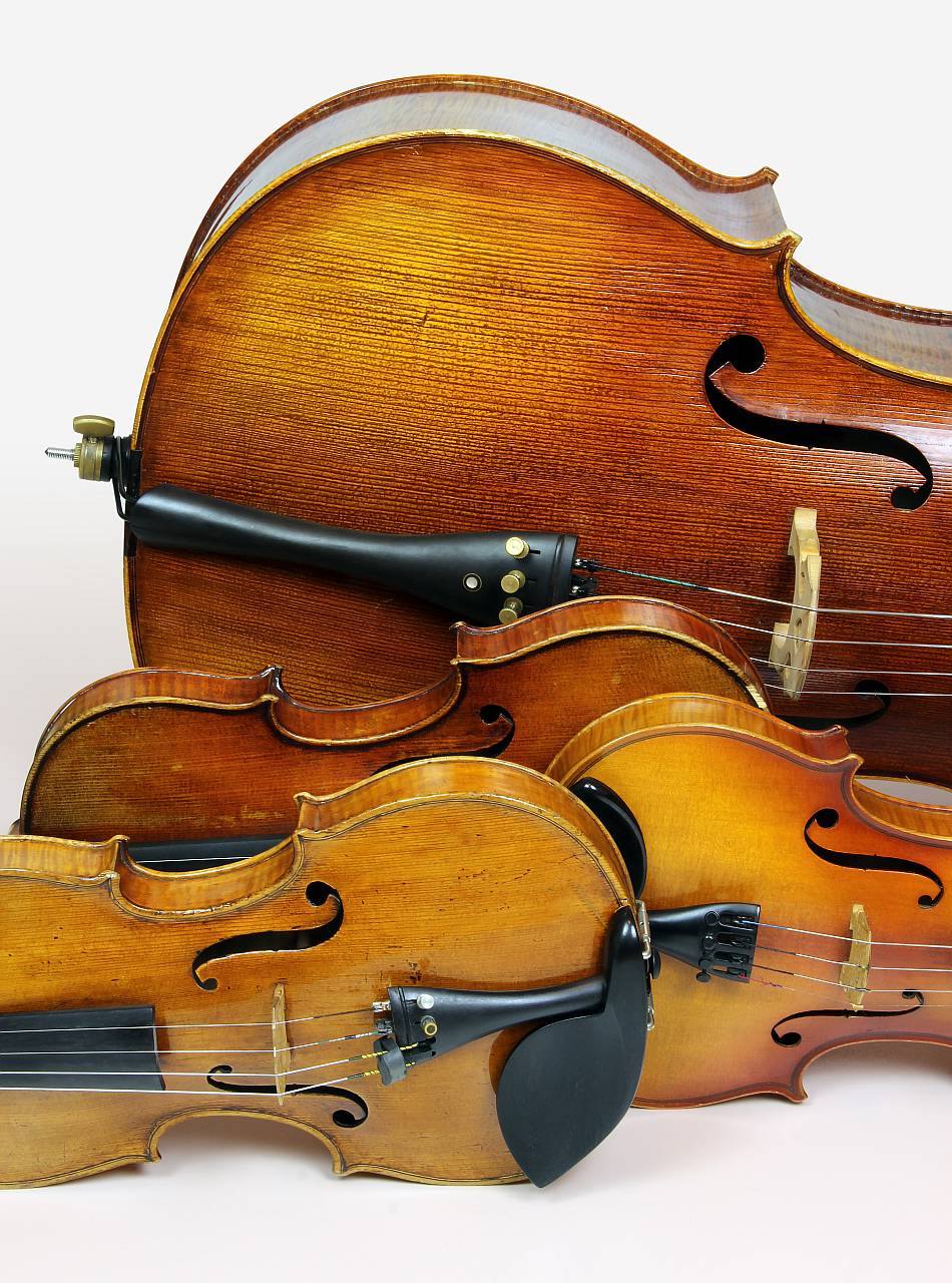 violin facts - strings family