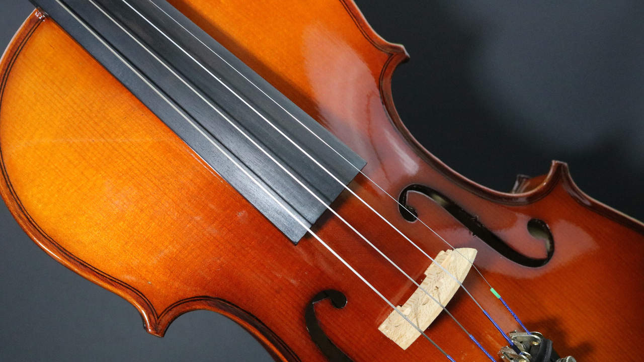 violin fingerboard