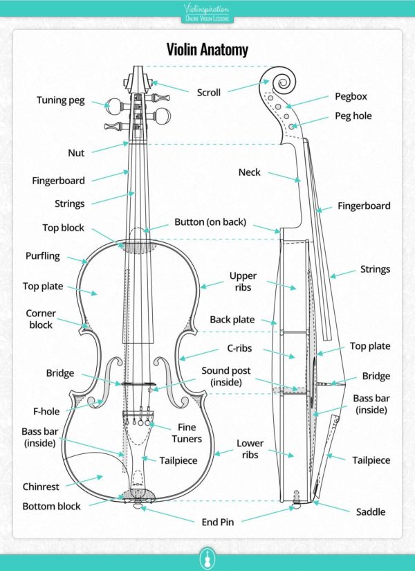 All You Need to Know About Violin Fingerboard - Violinspiration