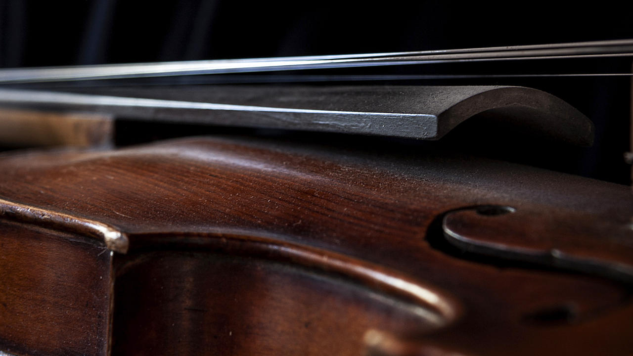 violin fingerboard